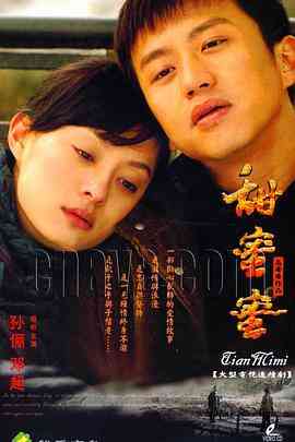 甜蜜蜜2007封面图