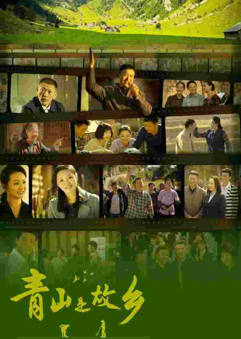 青山是故乡封面图