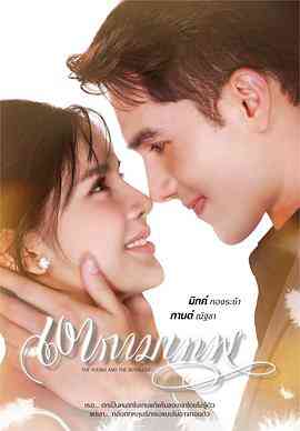 新爱神之影封面图