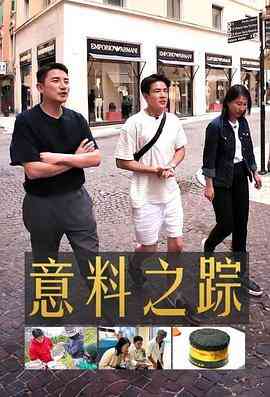 意料之踪封面图