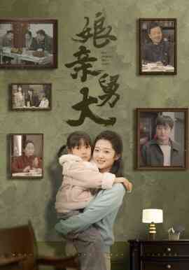 娘亲舅大封面图