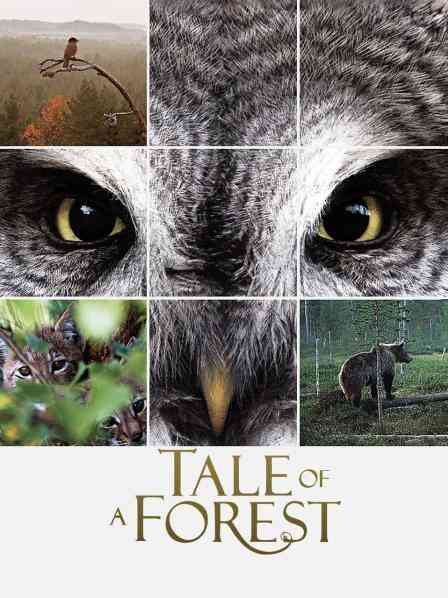 森之传说封面图