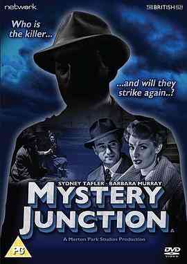 枢纽站的神秘故事封面图