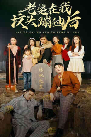 老婆在我坟头蹦迪后封面图