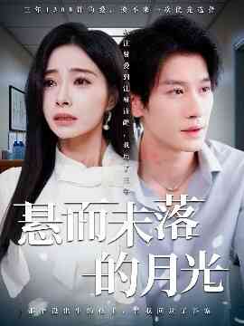 悬而未落的月光 未抵达的回声封面图