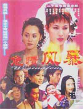 危情风暴封面图