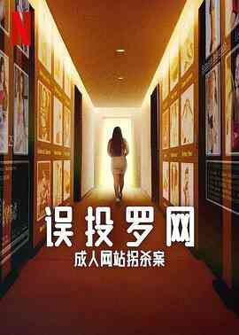 误投罗网：成人网站拐杀案封面图