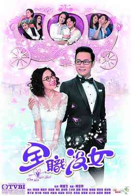 全职没女封面图