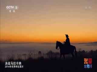 2014年世界杯官方纪录片 hdtv封面图