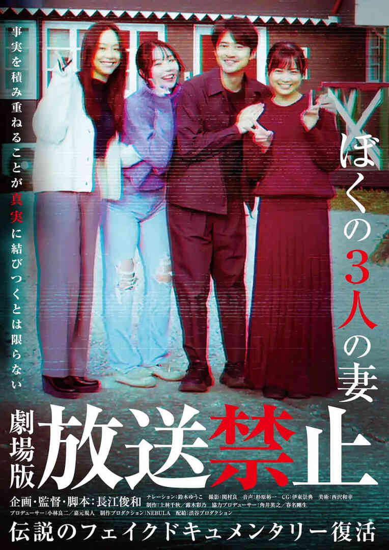 放送禁止 我的三位妻子封面图