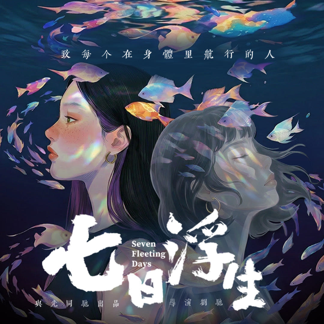 七日浮生封面图