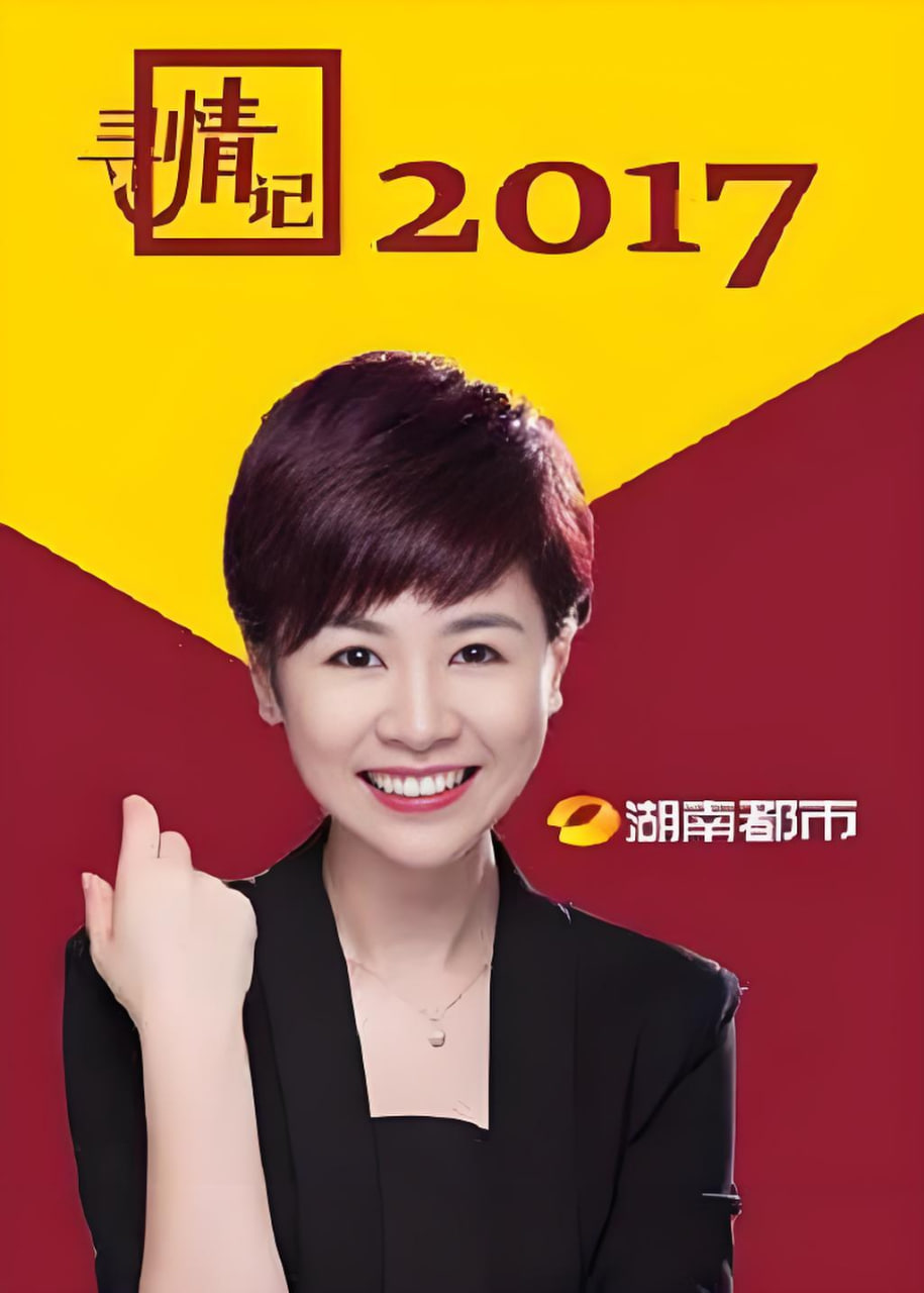 寻情记封面图