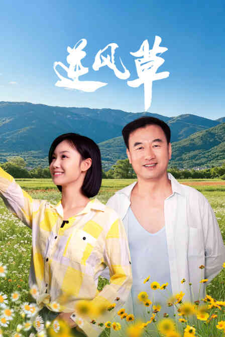 逆风草封面图