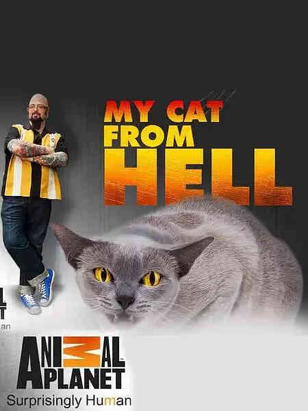 家有恶猫 第七季封面图