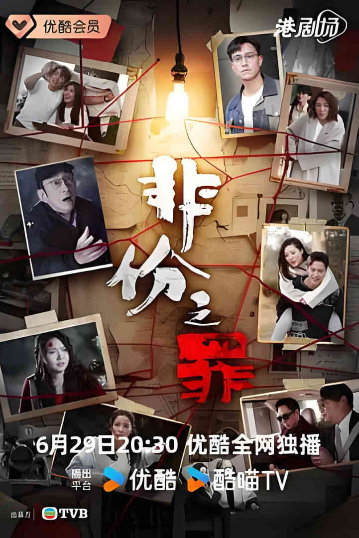 非份之罪 国语版封面图
