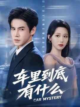 车里到底有什么封面图