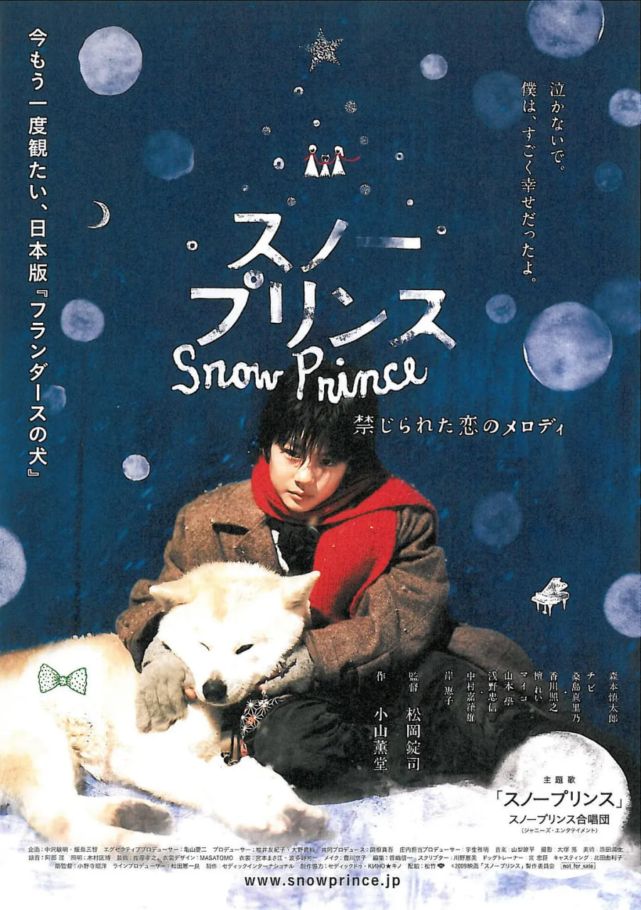雪王子：禁恋的旋律封面图