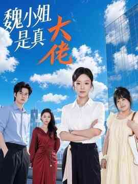 魏小姐是真大佬封面图