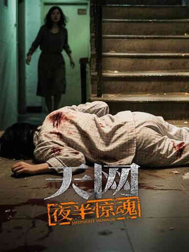 天网：夜半惊魂封面图