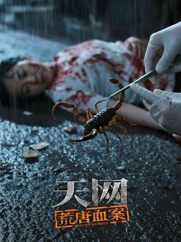 天网：荒唐血案封面图